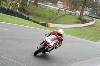 anglesey;brands-hatch;cadwell-park;croft;donington-park;enduro-digital-images;event-digital-images;eventdigitalimages;mallory;no-limits;oulton-park;peter-wileman-photography;racing-digital-images;silverstone;snetterton;trackday-digital-images;trackday-photos;vmcc-banbury-run;welsh-2-day-enduro